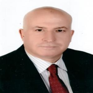 Mohammad Naser Salim Alzoubi